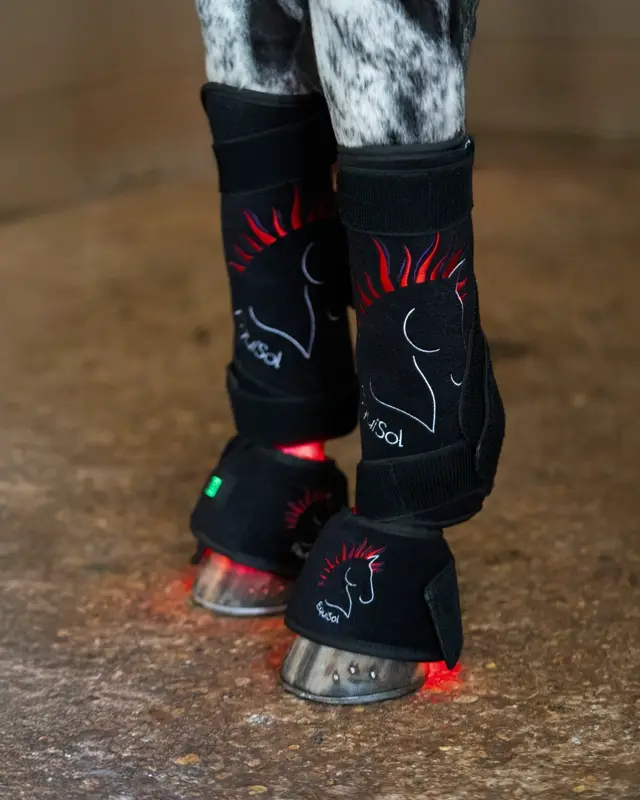 EquiSol red light therapy leg wraps | AnimaSol | Brand New (with Tags)