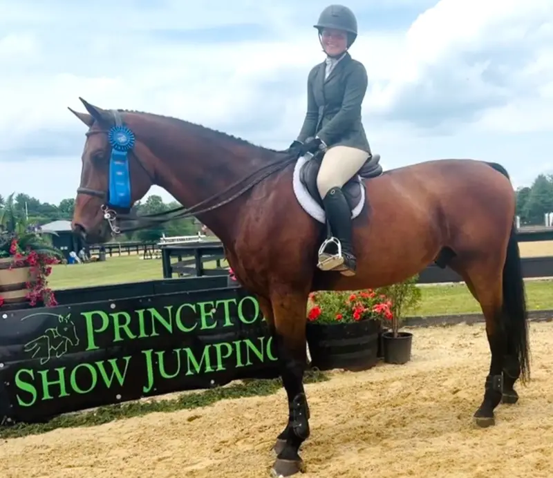 DSH Chacco Chip | 2016 | 16h | All Warmbloods | Gelding