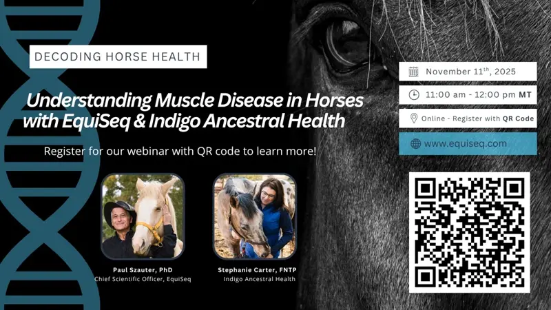 Decoding Horse Health Webinar | Registration Required