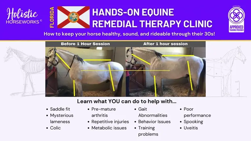 How to Keep Your Horse Healthy, Sound, and Rideable Through Their 30s! | Hands- On Horse Bodywork Clinics | Registration Required | Slots Available: 6