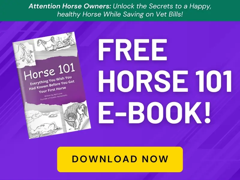 FREE EBOOK! Horse 101: Everything You Wish You Had Known Before You Got Your First Horse