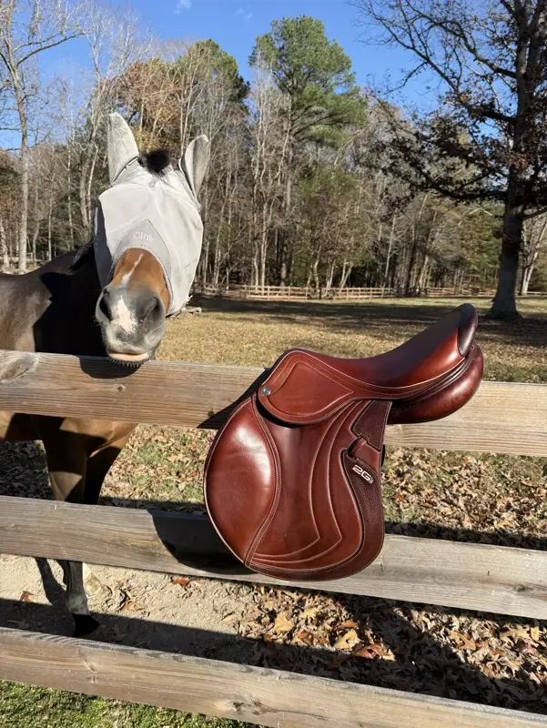 17.5" 2019 CWD Mademoiselle 2Gs Hunter Saddle | 2019 | CWD | Used (Like New)