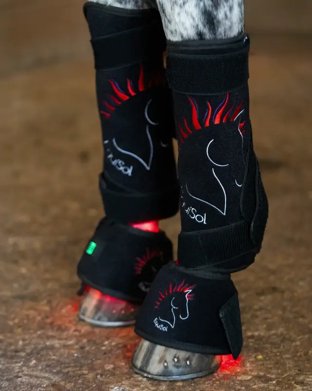 EquiSol red light therapy bell boots