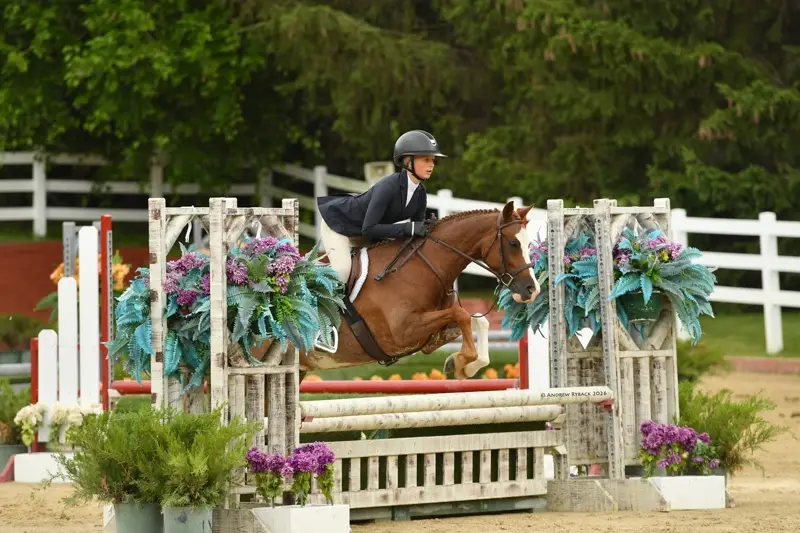 Royal Luxe | 2020 | 13.2h | Welsh Pony | Gelding