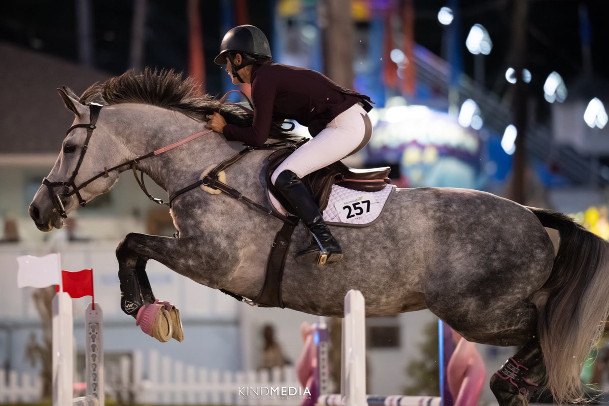 Wavo Alvaro | 2017 | 17.2h | All Warmbloods | Gelding