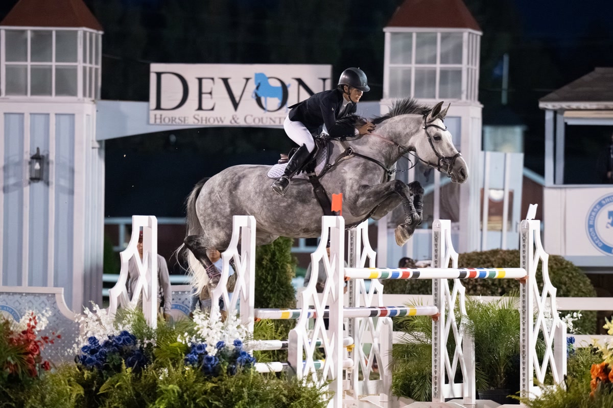 Wavo Alvaro | 2017 | 17.2h | All Warmbloods | Gelding