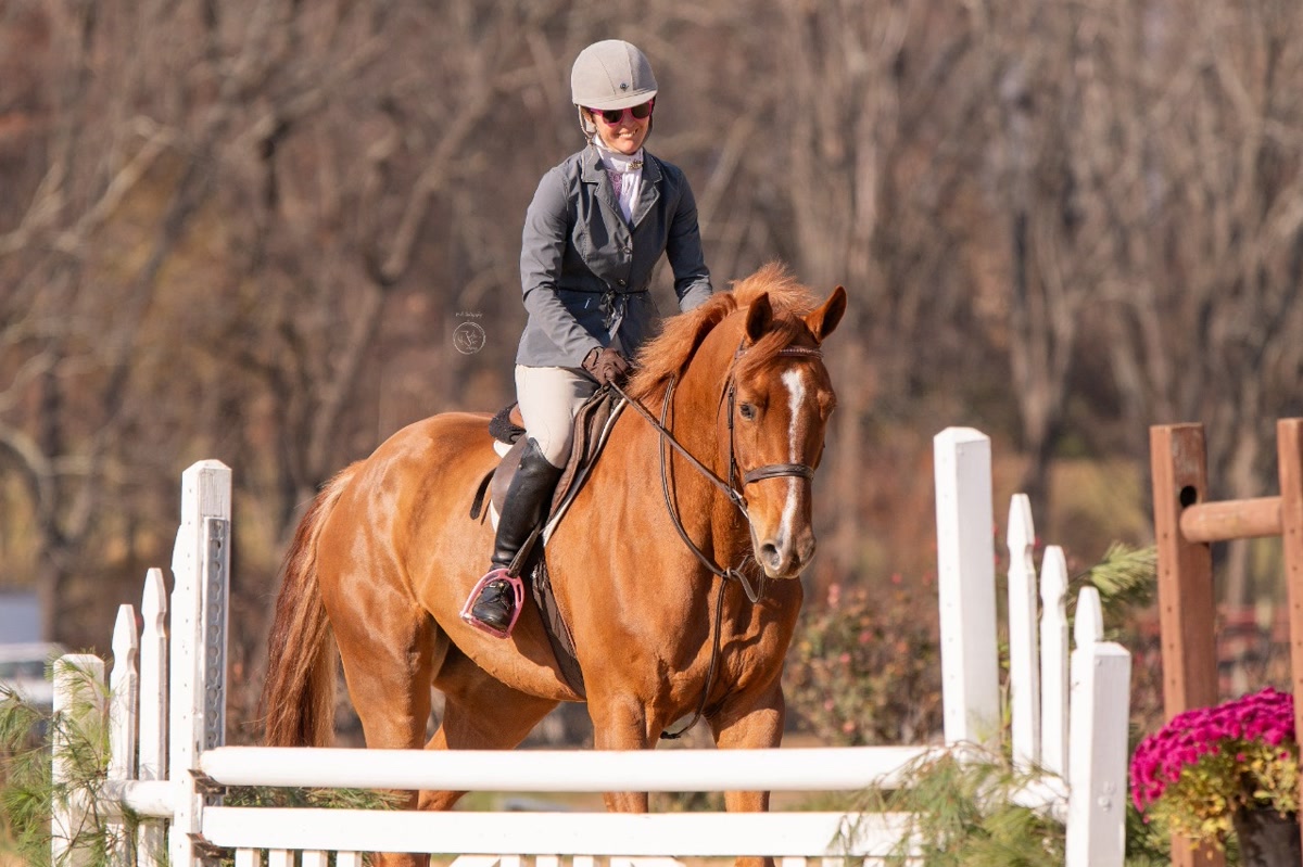 Crème brûlée | 2016 | 18h | All Warmbloods | Gelding