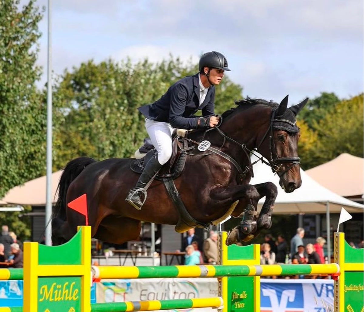 Kanyan | 2016 | 17h | Oldenburg | Gelding