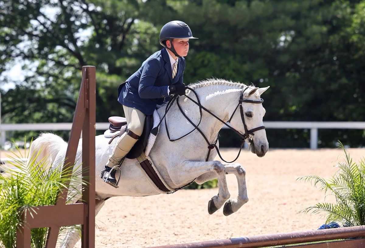 Funfetti | 2014 | 13.1h | All Ponies | Gelding