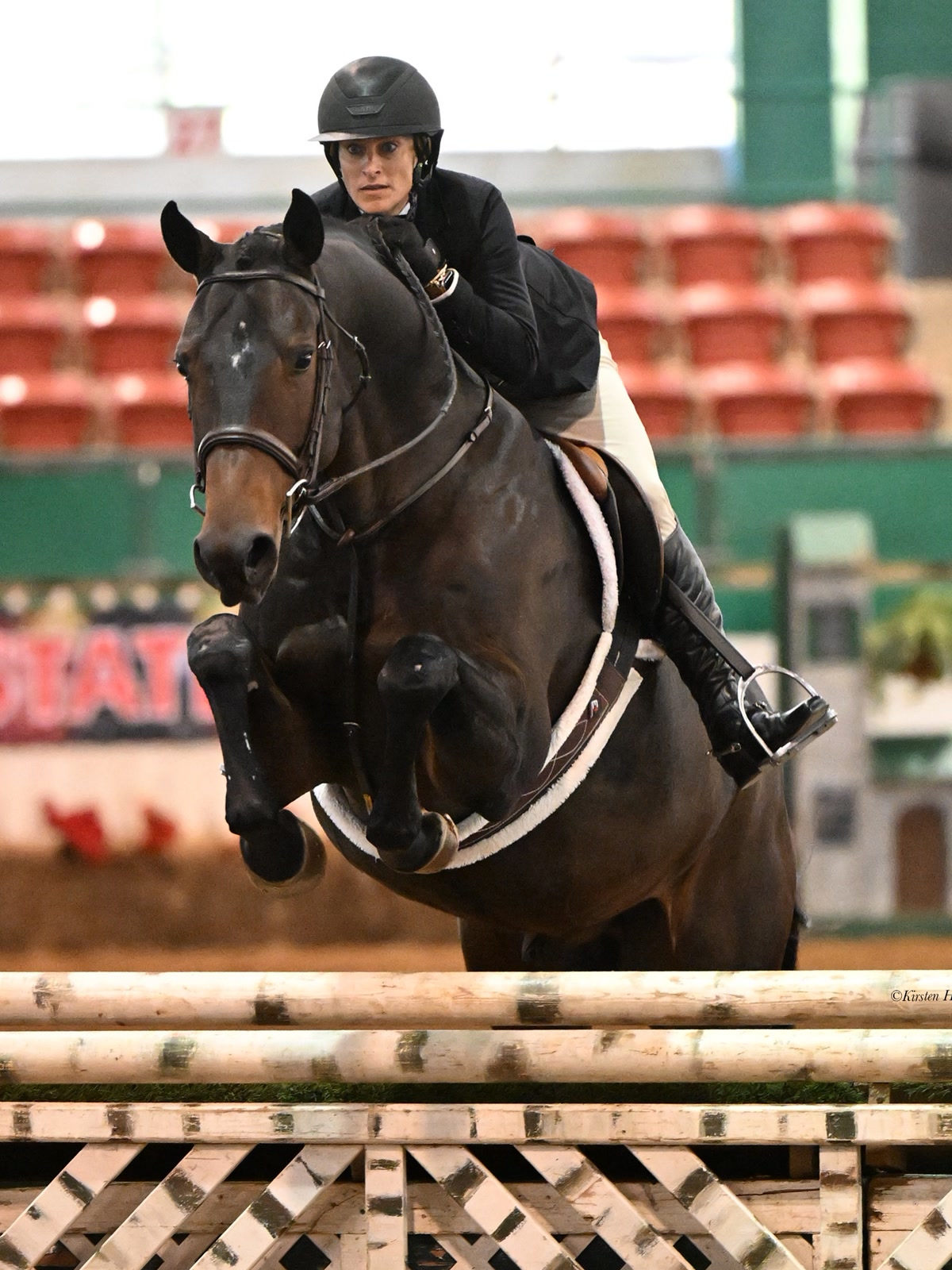 Quality Junior/Amateur Owner Hunter | 2018 | 16.3h | All Warmbloods | Belgian Warmblood | Gelding