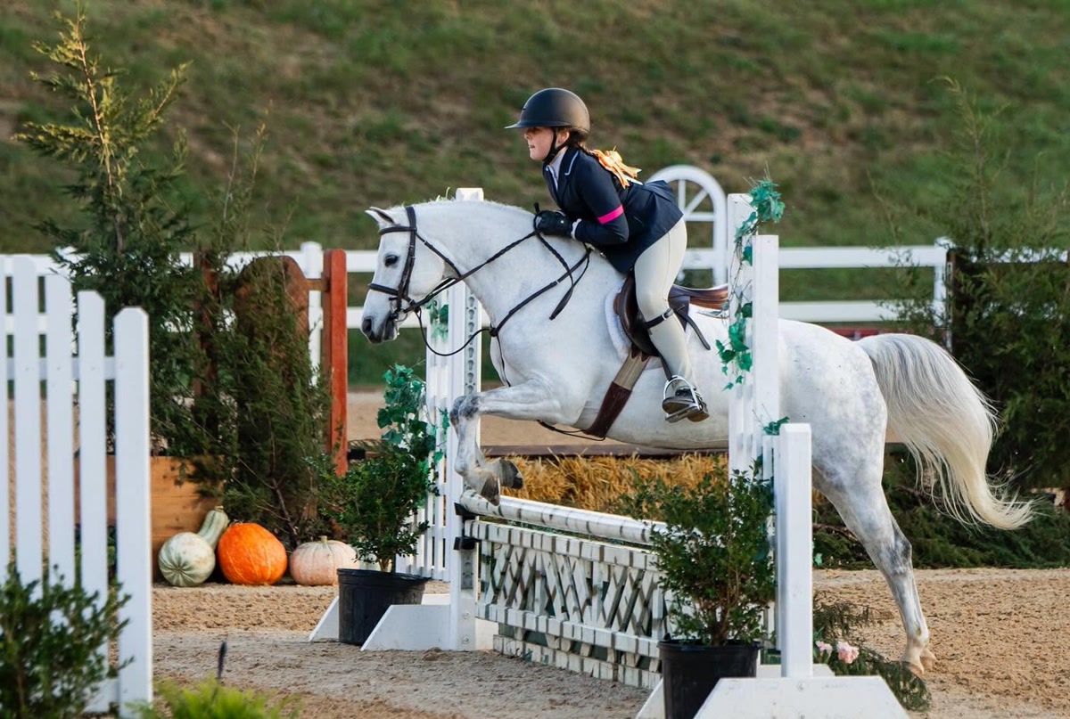 Funfetti | 2014 | 13.1h | All Ponies | Gelding