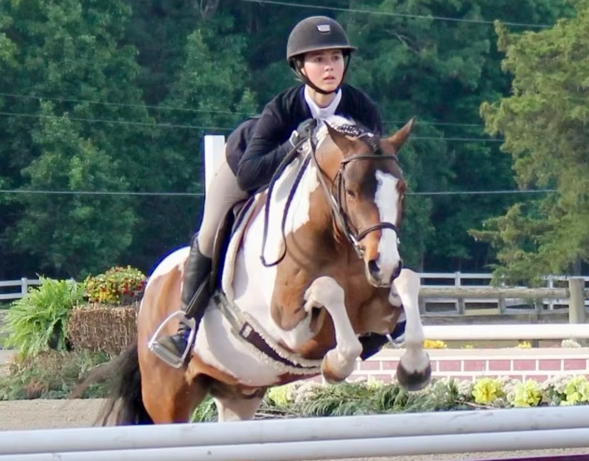 Cadillac | 2020 | 12.2h | Welsh Cross | Gelding