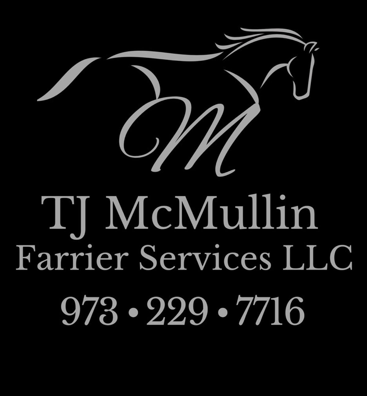 Farrier Service in Virginia for Hunter, Jumper & Dressage Horses | Farrier