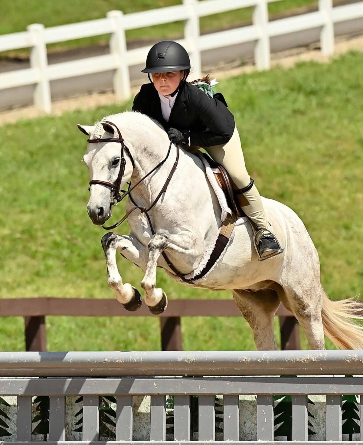 Funfetti | 2014 | 13.1h | All Ponies | Gelding