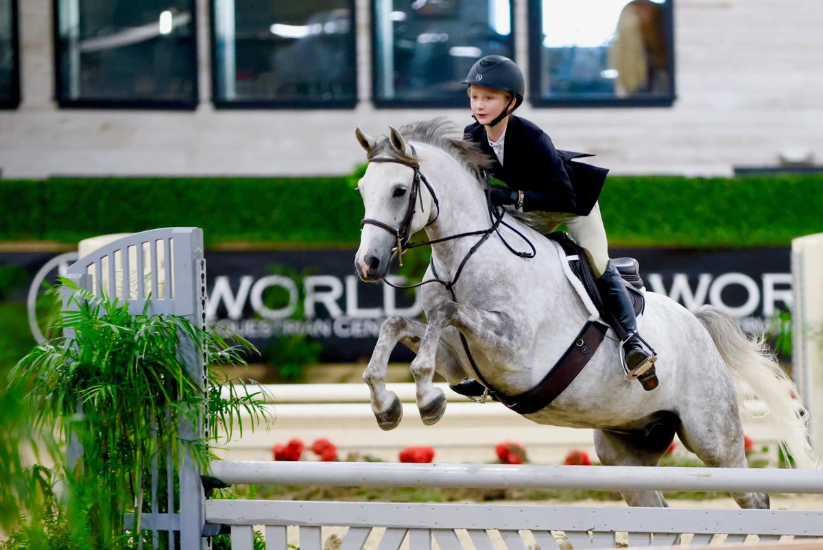 Farnley High Road | 2018 | 14.1h | Welsh Pony | Gelding