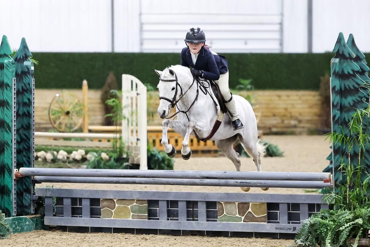 Funfetti | 2014 | 13.1h | All Ponies | Gelding