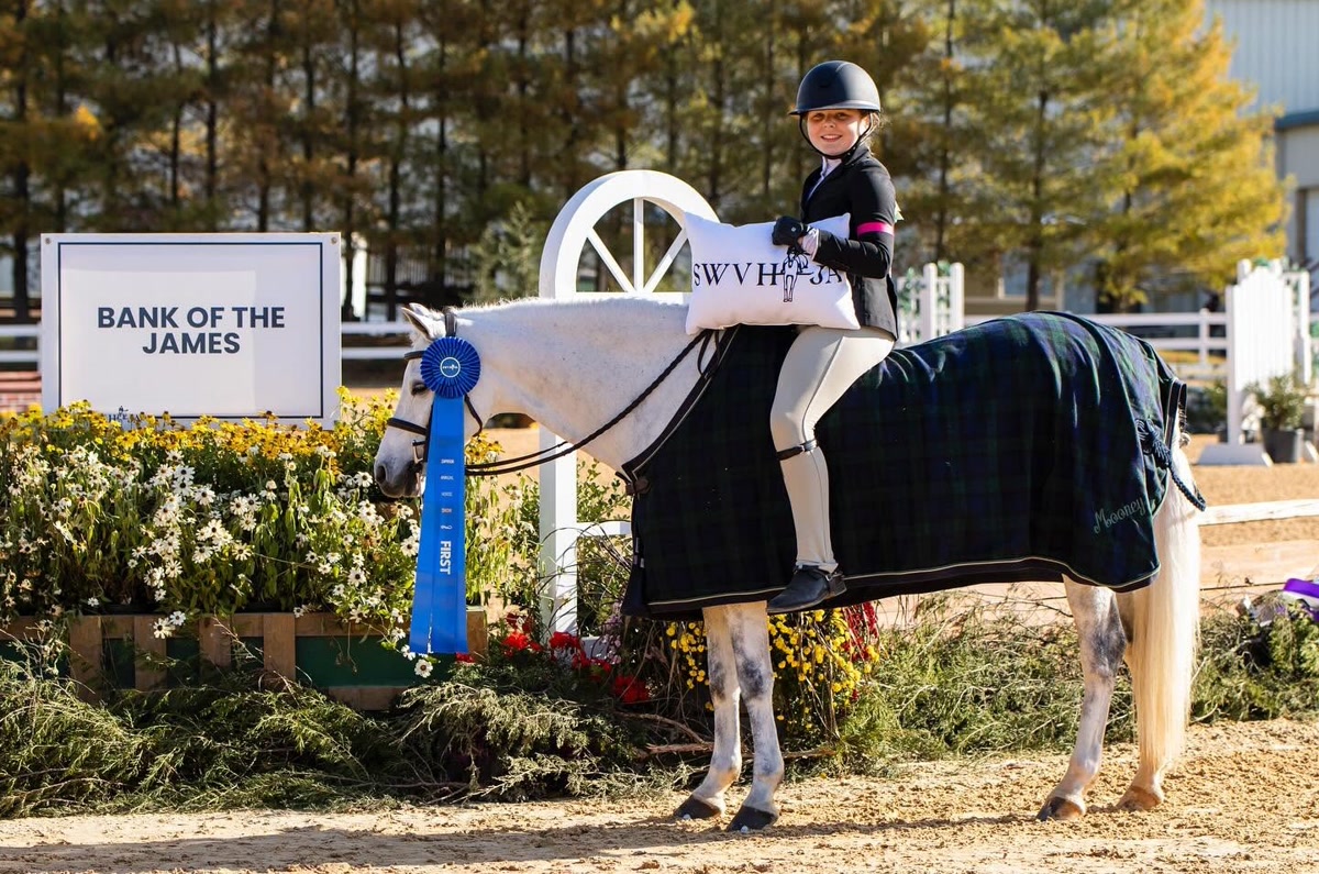 Funfetti | 2014 | 13.1h | All Ponies | Gelding