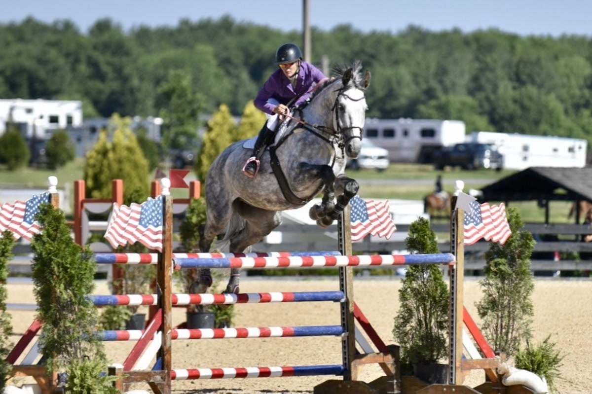 Wavo Alvaro | 2017 | 17.2h | All Warmbloods | Gelding