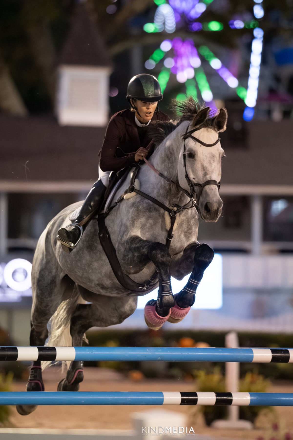 Wavo Alvaro | 2017 | 17.2h | All Warmbloods | Gelding