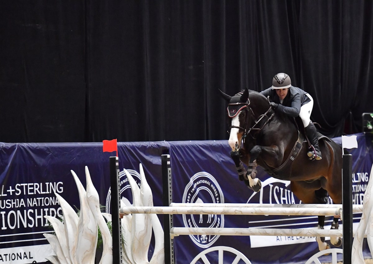 Pontedera | 2016 | 16.2h | All Warmbloods | Gelding