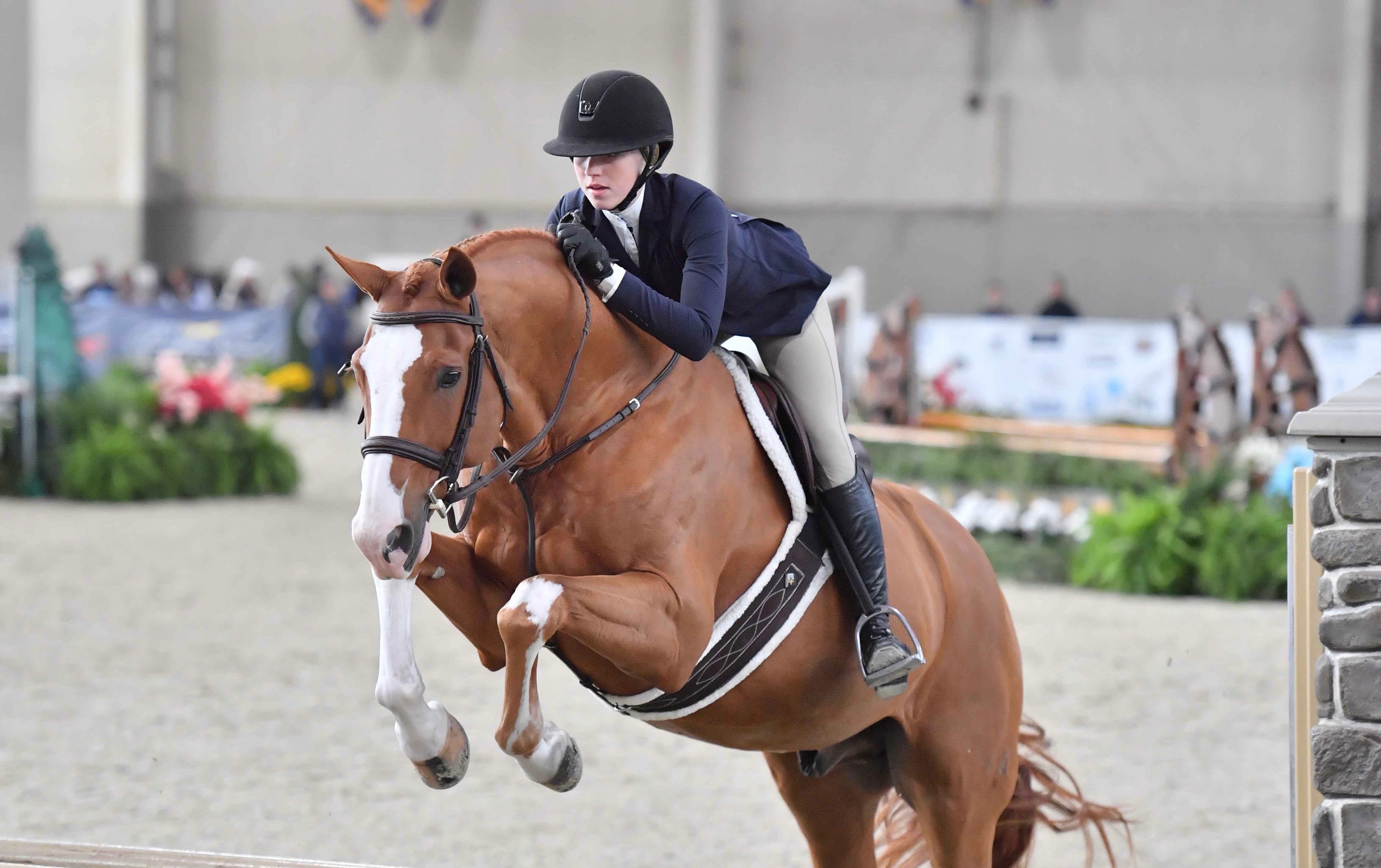 Winning 3’3” Junior | 2011 | 16h | All Warmbloods | Dutch Warmblood | Gelding