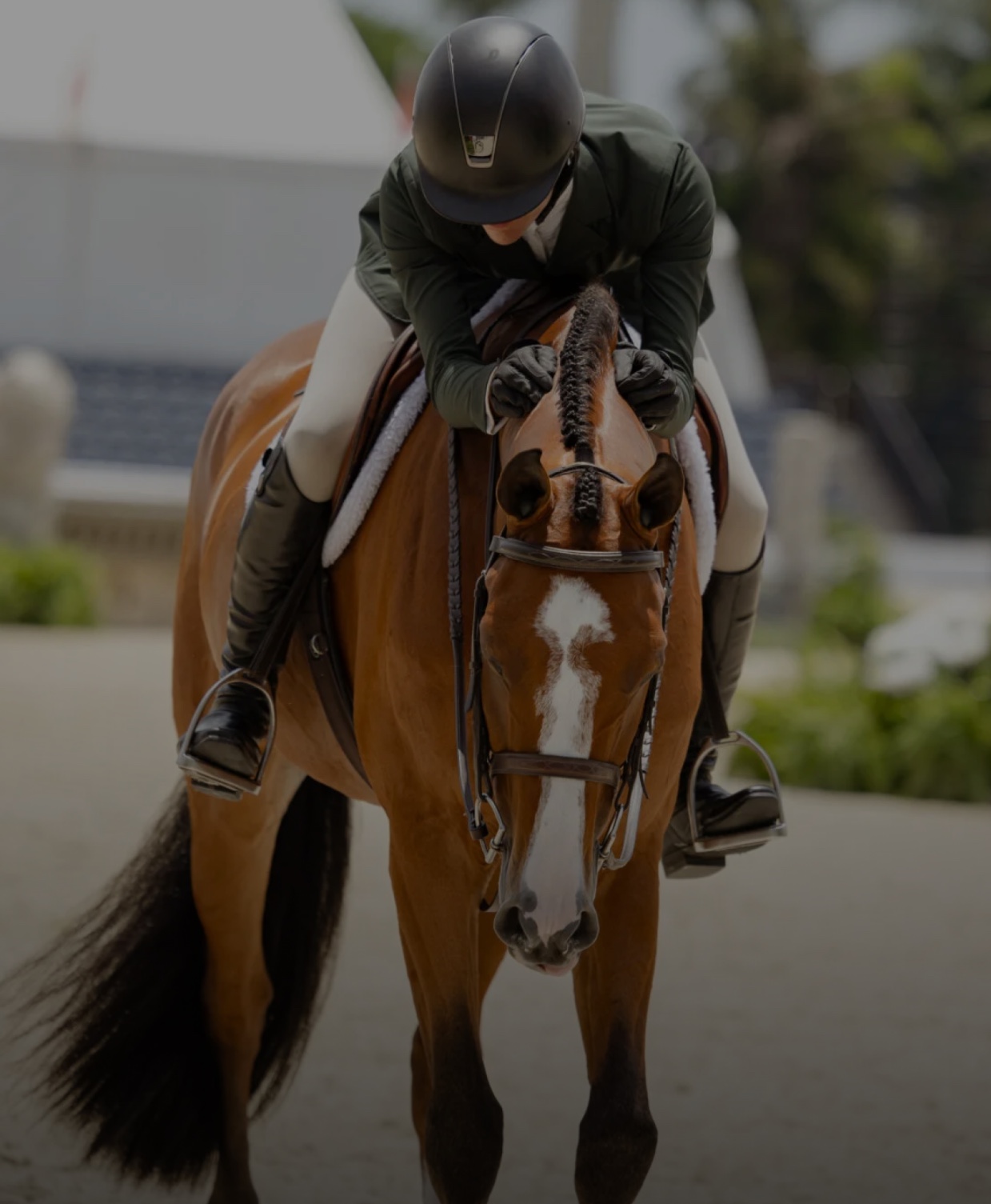 Mobile Barns today | Boarding Barn | For Rent or Sublet