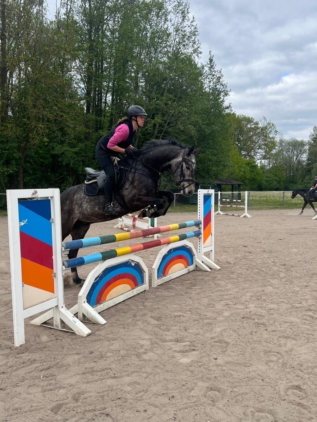 Cool Prince | 2020 | 16.1h | Holsteiner | Gelding