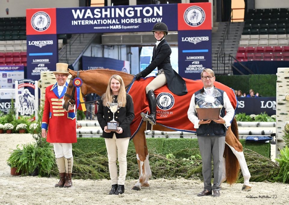 Winning 3’3” Junior | 2011 | 16h | All Warmbloods | Dutch Warmblood | Gelding