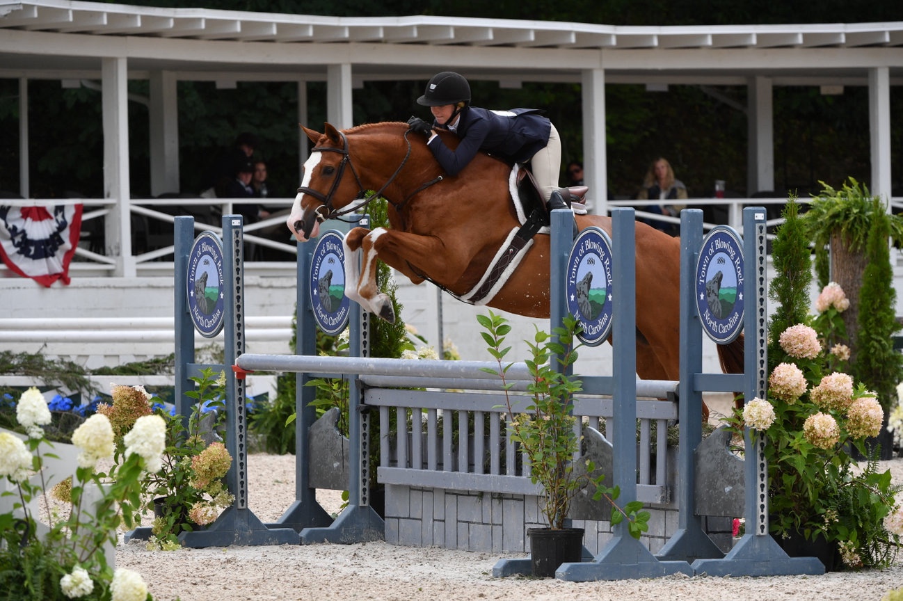 Winning 3’3” Junior | 2011 | 16h | All Warmbloods | Dutch Warmblood | Gelding